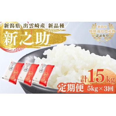 【毎月定期便】新潟県 出雲崎産 「新之助」 精米 5kg全3回