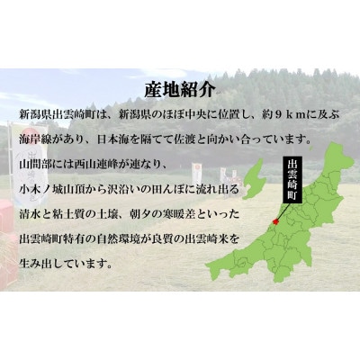 【毎月定期便】新潟県 出雲崎産 「新之助」 精米 5kg全3回
