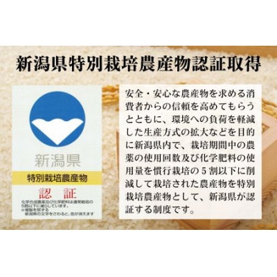 【毎月定期便】新潟県 出雲崎産 「新之助」 精米 5kg全3回