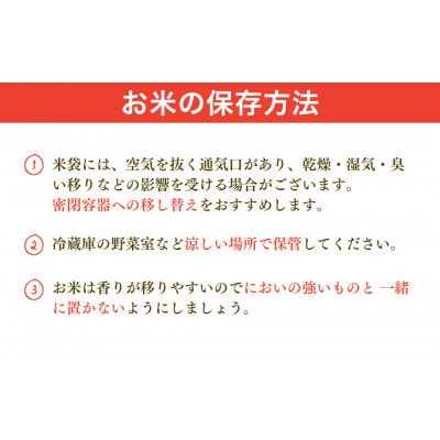 【毎月定期便】新潟県 出雲崎産 「新之助」 精米 5kg全3回