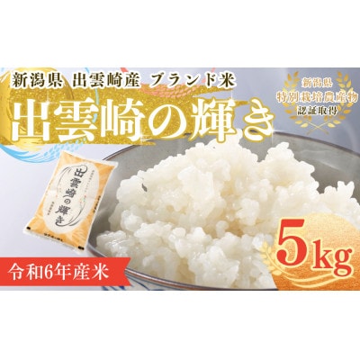 【令和6年産】新潟県産コシヒカリ ブランド米「出雲崎の輝き」精米 5kg