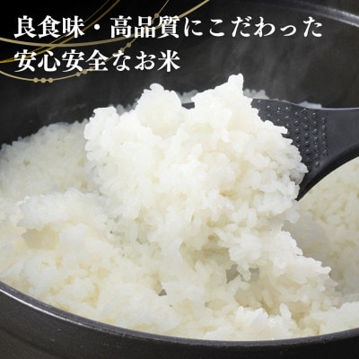 【令和7年産新米】新潟県出雲崎町産「新之助」精米 10kg