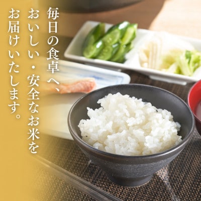 【令和7年産新米】新潟県出雲崎町産「新之助」精米 20kg