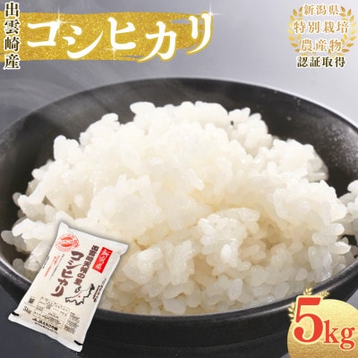 【令和7年産新米】新潟県出雲崎産 特別栽培 コシヒカリ「天領の里」精米 5kg