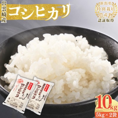 【令和7年産新米】新潟県出雲崎産 特別栽培 コシヒカリ「天領の里」精米 10kg