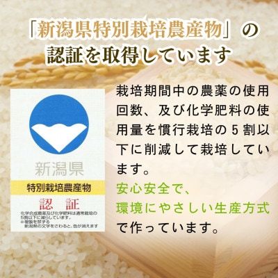 【令和7年産新米】新潟県出雲崎産 特別栽培 コシヒカリ「天領の里」精米 10kg