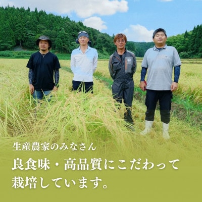 【令和7年産新米】新潟県出雲崎産 特別栽培 コシヒカリ「天領の里」精米 10kg
