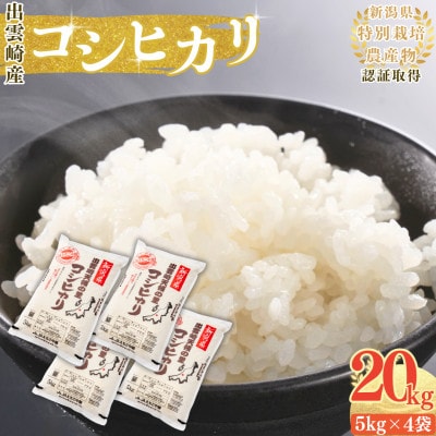 【令和7年産新米】新潟県出雲崎産 特別栽培 コシヒカリ「天領の里」精米 20kg