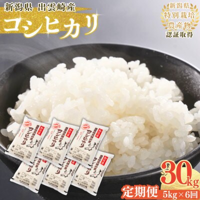 【毎月定期便】新潟県産 出雲崎町産 特別栽培米 コシヒカリ「天領の里」精米 5kg全6回