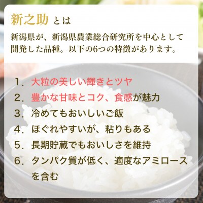 【毎月定期便】新潟県 出雲崎町産 「新之助」 精米 5kg全3回