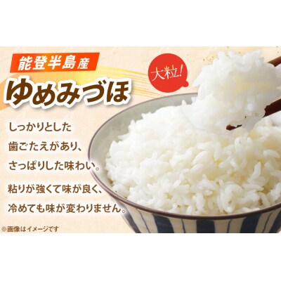 米 ゆめみづほ パックご飯 150g ×20パック [石川県 宝達志水町 38601228] 