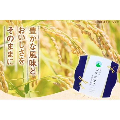米 コシヒカリ パックご飯 150g ×20パック [石川県 宝達志水町 38601227] 