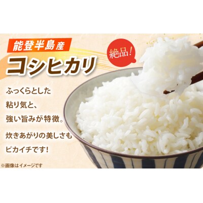 米 コシヒカリ パックご飯 150g ×20パック [石川県 宝達志水町 38601227] 