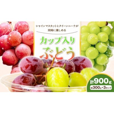 【予約】カップ入ぶどう シャインマスカット クイーンニーナ 約300g × 3カップ シグマサポート