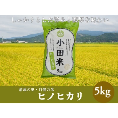 令和7年度産米　ヒノヒカリ 5kg