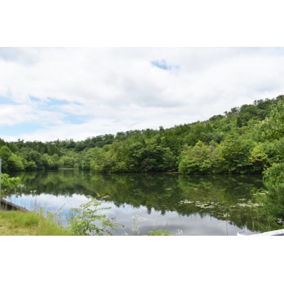 令和7年度産米　ヒノヒカリ 5kg