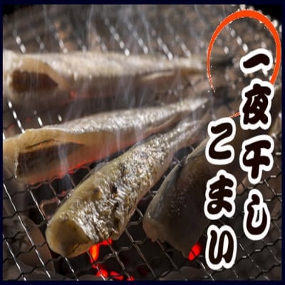 【北海道根室産】一夜干しこまい200g×10袋 A-36012