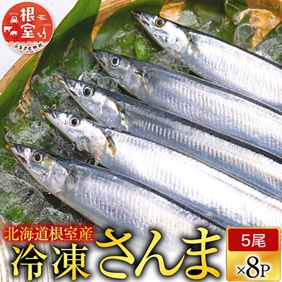 【北海道根室産】冷凍さんま40尾 C-70002