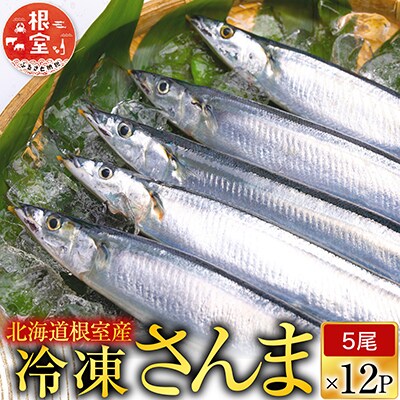 【北海道根室産】冷凍さんま60尾 D-70002