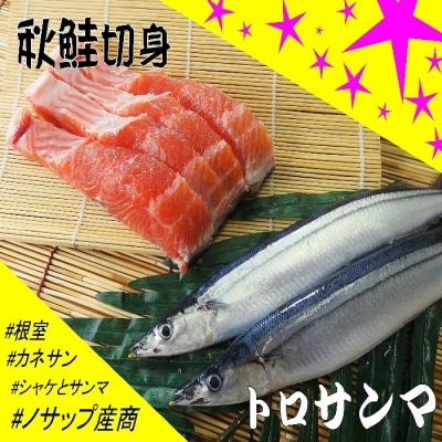 【北海道根室産】生冷凍サンマ5本入×2P・秋鮭切身3切れ×1P A-59002