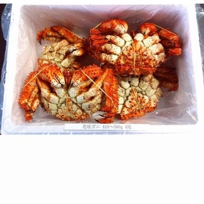 【北海道根室産】花咲ガニ410～560g×4尾 A-57005