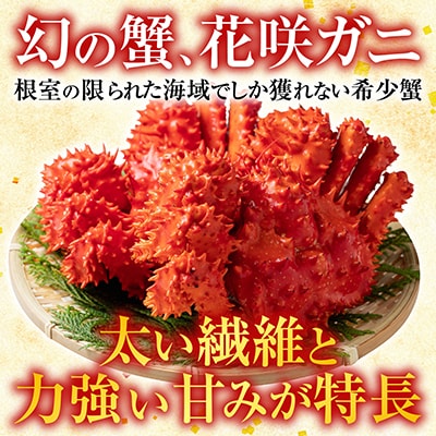 【北海道根室産】花咲ガニとクリガニ5～6尾(計1.5kg前後) A-57015