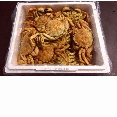 【北海道根室産】クリガニ12～18尾(計2.4kg) A-57017