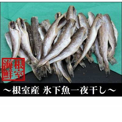 【北海道根室産】生干しこまい500g×4P A-57033