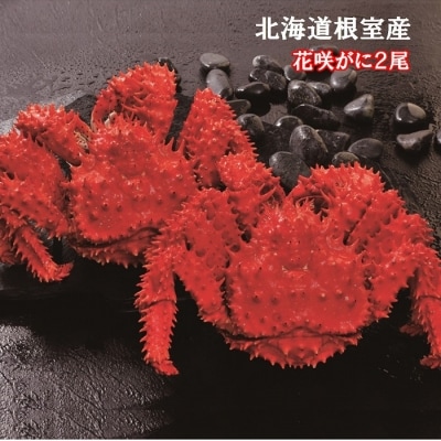 【北海道根室産】花咲がに500g×2尾 B-01027