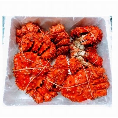 【北海道根室産】花咲ガニ2～4尾(計3.4kg前後) D-57012