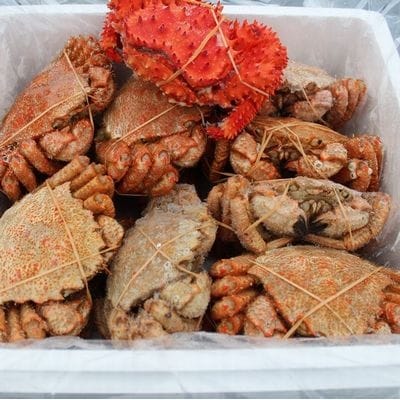 【北海道根室産】クリガニ13～17尾(4kg前後)、花咲ガニ1尾 C-57026