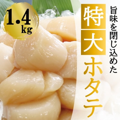 【北海道根室産】＜計1.4kg＞ホタテ貝柱(特大)700g×2P D-32011