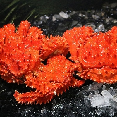 浜ゆで花咲がにオス・メス各1尾 A-60003