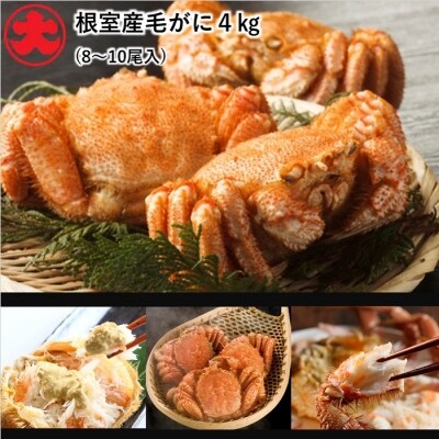 【北海道根室産】ボイル毛がに8～10尾(計4kg) E-01003