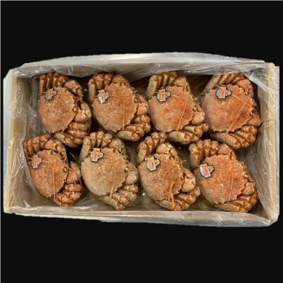 【北海道根室産】ボイル毛がに8～10尾(計4kg) E-01003