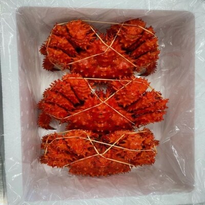【北海道根室産】花咲蟹2尾(計1.2～1.4kg) B-27016