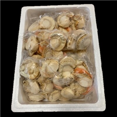 【北海道根室産】ボイルホタテ800g×3P(計2.4kg) C-01054