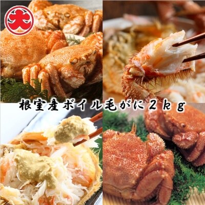 【北海道根室産】ボイル毛がに400g×5尾(計2kg) D-01054