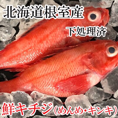 【北海道根室産】キチジ(キンキ・めんめ)×7～11尾(下処理済) E-70005