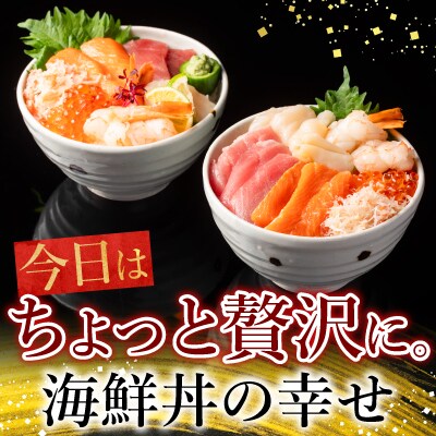 海鮮丼の具7種盛り×3P・6種盛り詰合せ×5P C-10002