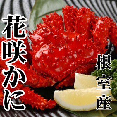 【北海道根室産】花咲かに500～650g×6尾 D-30043