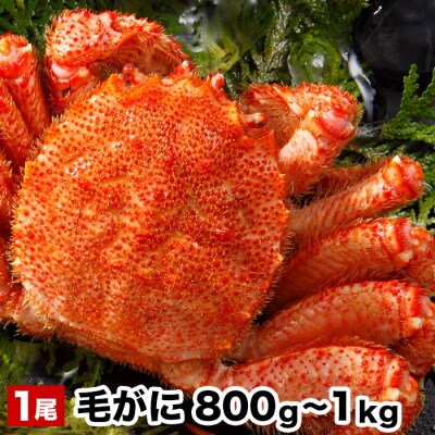 毛がに800g～1kg×1尾 B-48016