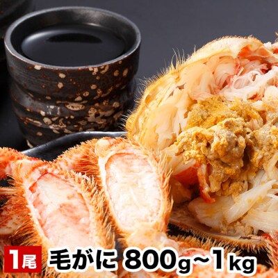 毛がに800g～1kg×1尾 B-48016
