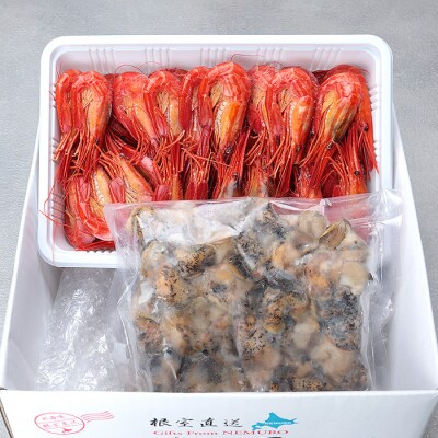【北海道根室産】北海しまえび・つぶセット A-81014