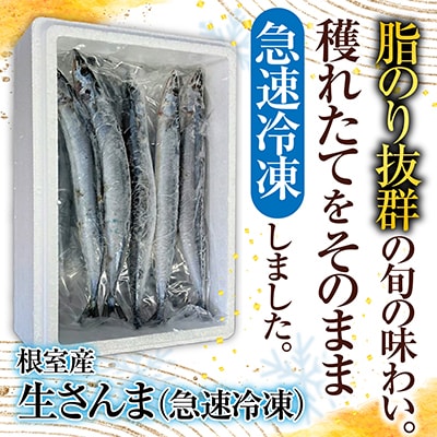 【北海道根室産】冷凍さんま20尾 A-70003