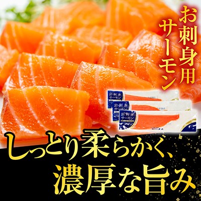 お刺身トラウトサーモン1kg、塩さばフィレ15P B-09054