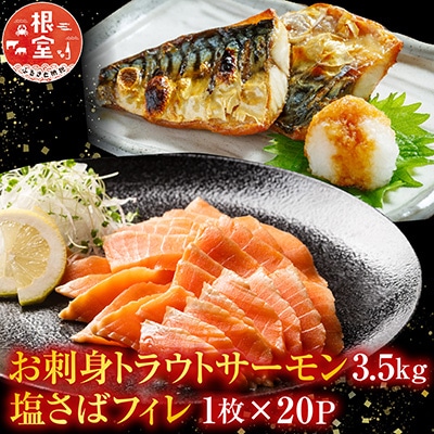 お刺身トラウトサーモン3.5kg、塩さばフィレ20P D-09020