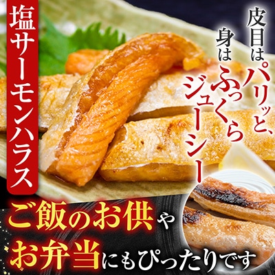 トラウトサーモン3kg&塩サーモンハラス3.3kg D-09014