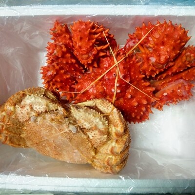 【北海道根室産】花咲ガニ1尾、毛ガニ1尾(2種計1.7kg前後) E-57001