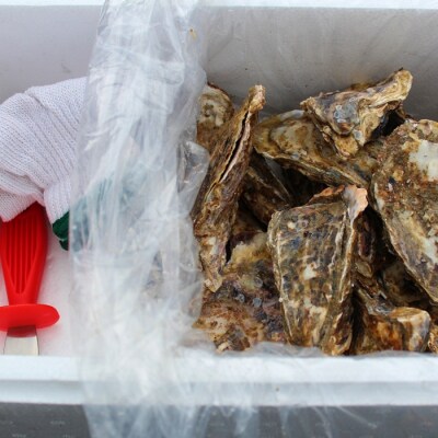 【北海道根室産】殻付カキ90～120g×18個 B-57026